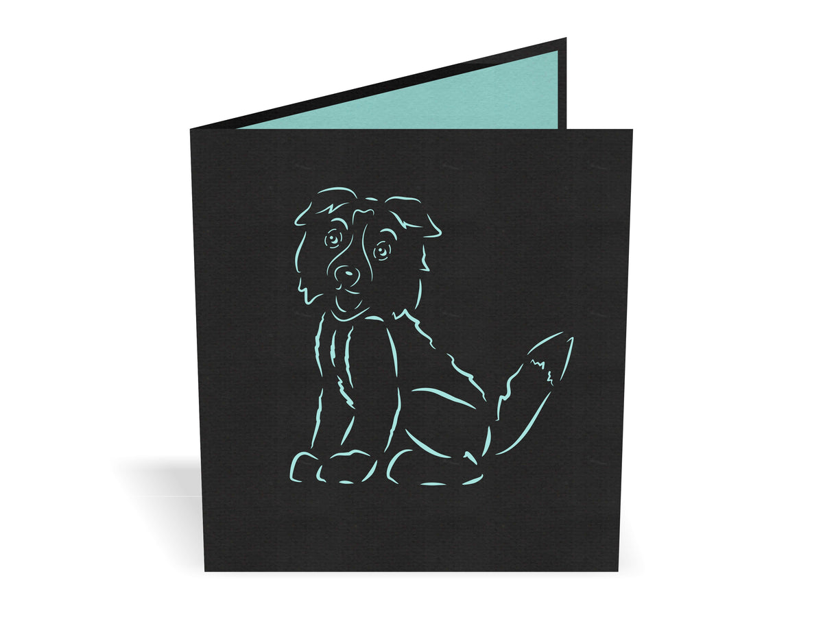 Male Border Collie Pop-Up Card