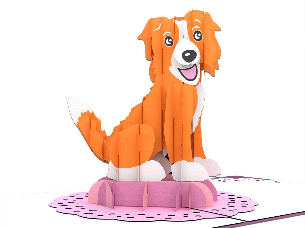 Orange Dog Pop-Up Card