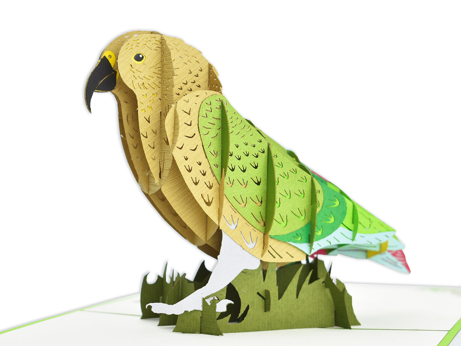 Kea 3D Creative Pop Up Card - close up