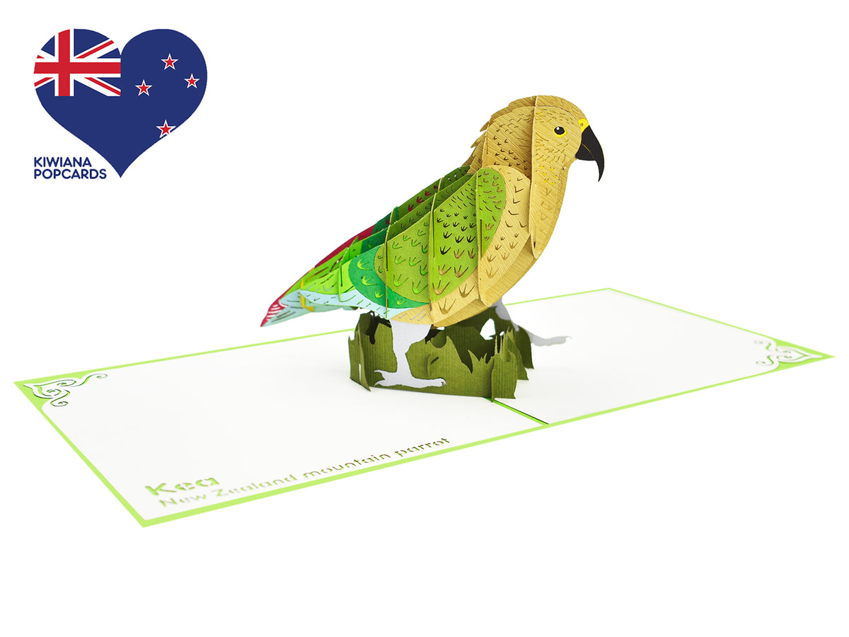 Kea 3D Creative Pop Up Card
