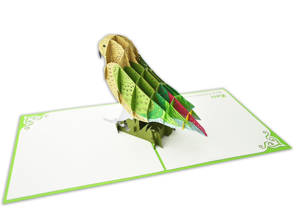 Kea 3D Creative Pop Up Card - alternate view