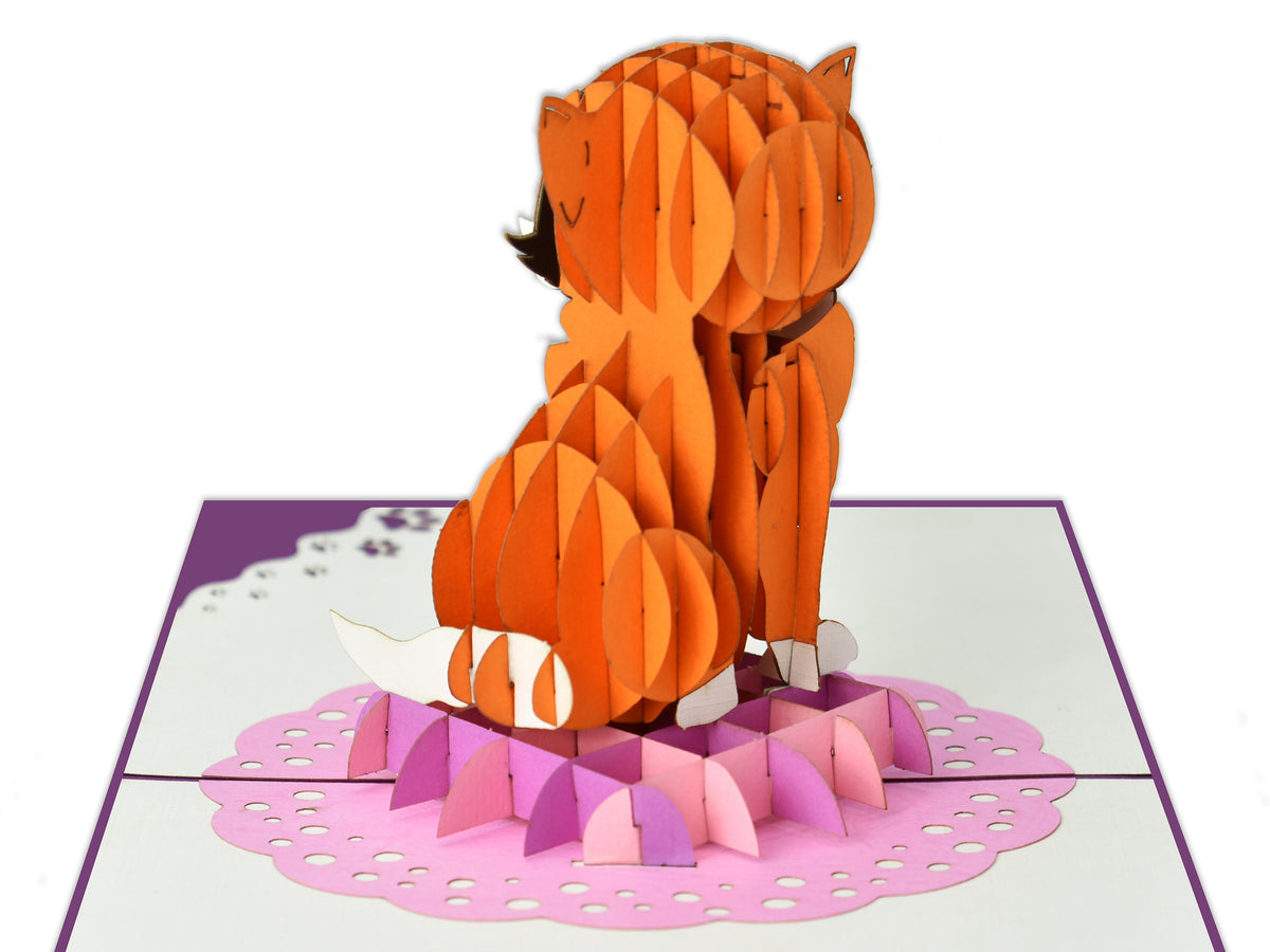 Orange Cat 3D Creative Pop Up Card - close up back