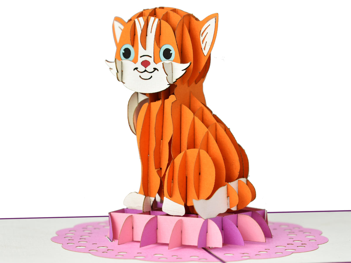 Orange Cat 3D Creative Pop Up Card - close up side