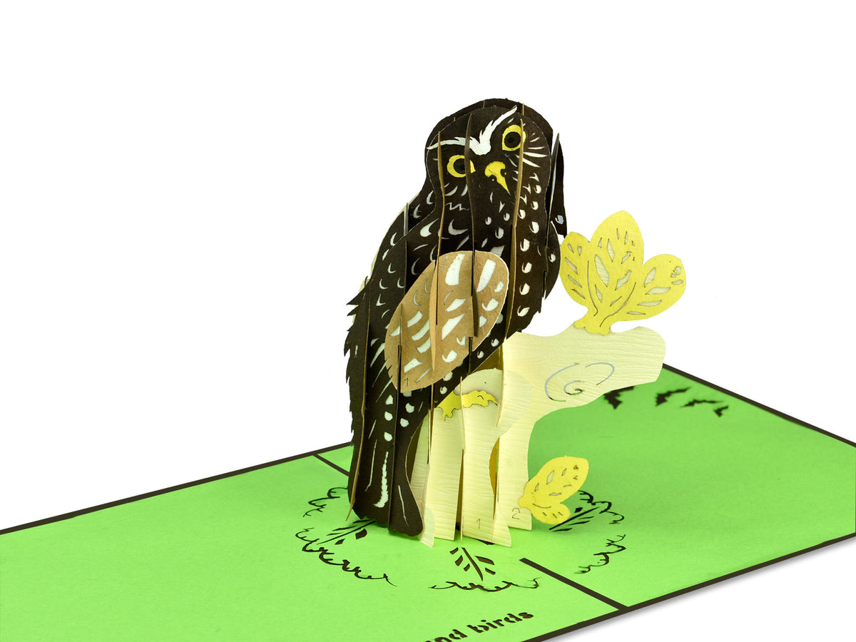 New Zealand Morepork Pop-Up Card