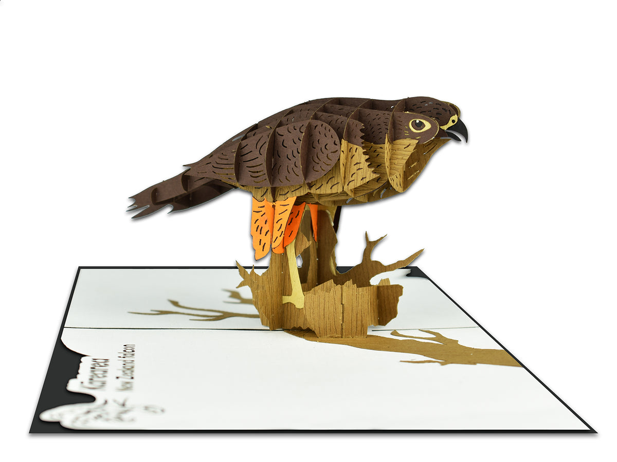 New Zealand Falcon 3D Creative Pop Up Card - side view