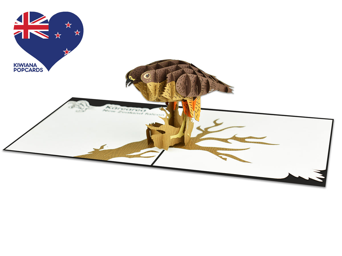 New Zealand Falcon 3D Creative Pop Up Card