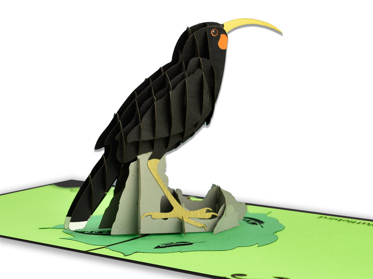 New Zealand Huia Bird Pop-Up Card