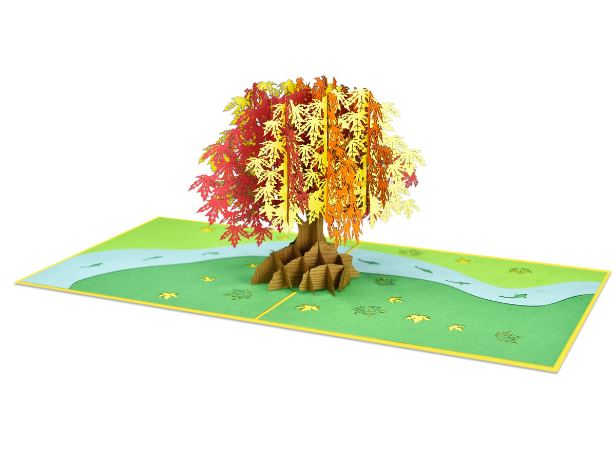 Japanese Maple Tree Sense Pop-Up Card