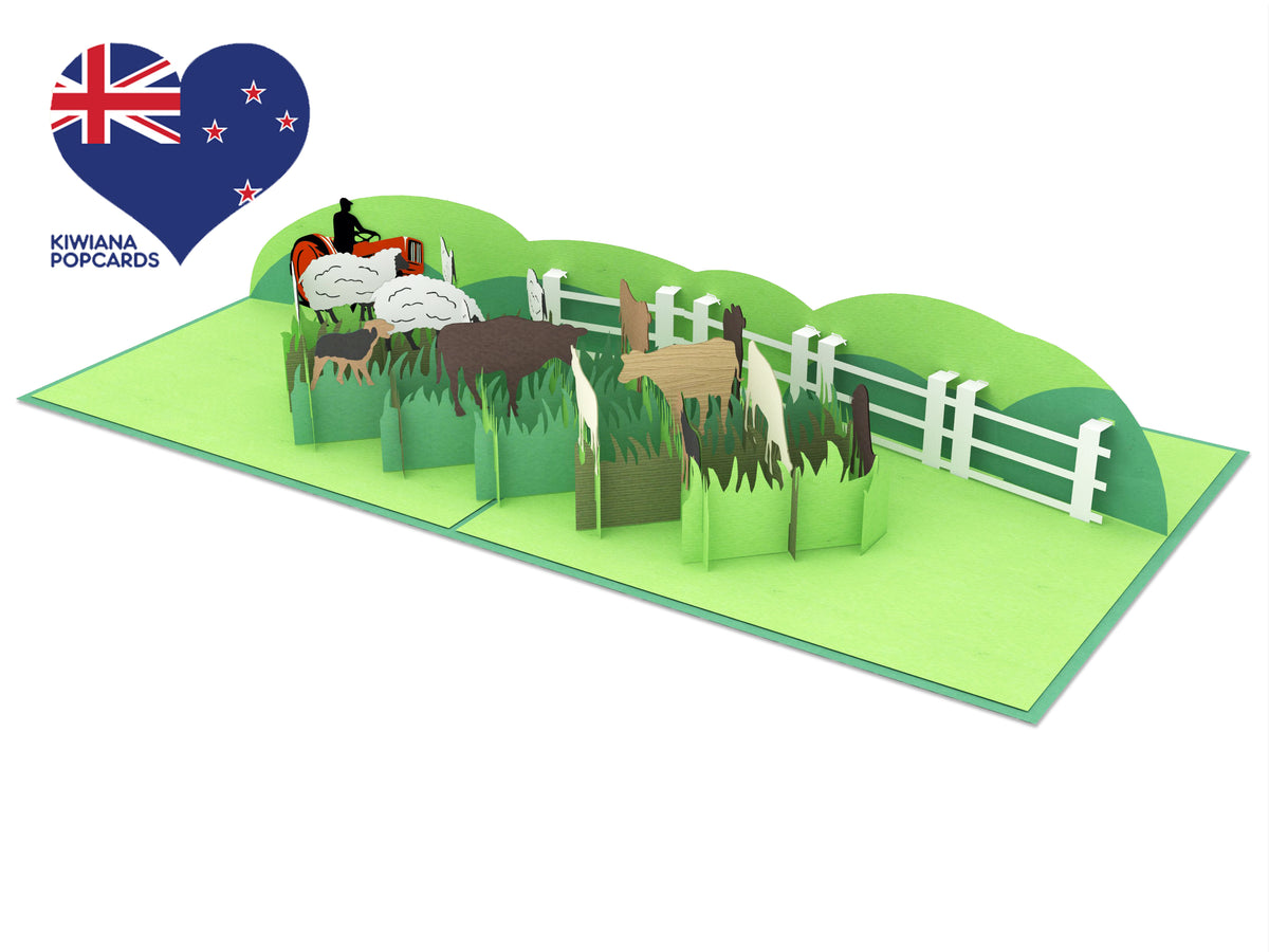 Sheep and Beef Farm Pop-Up Card