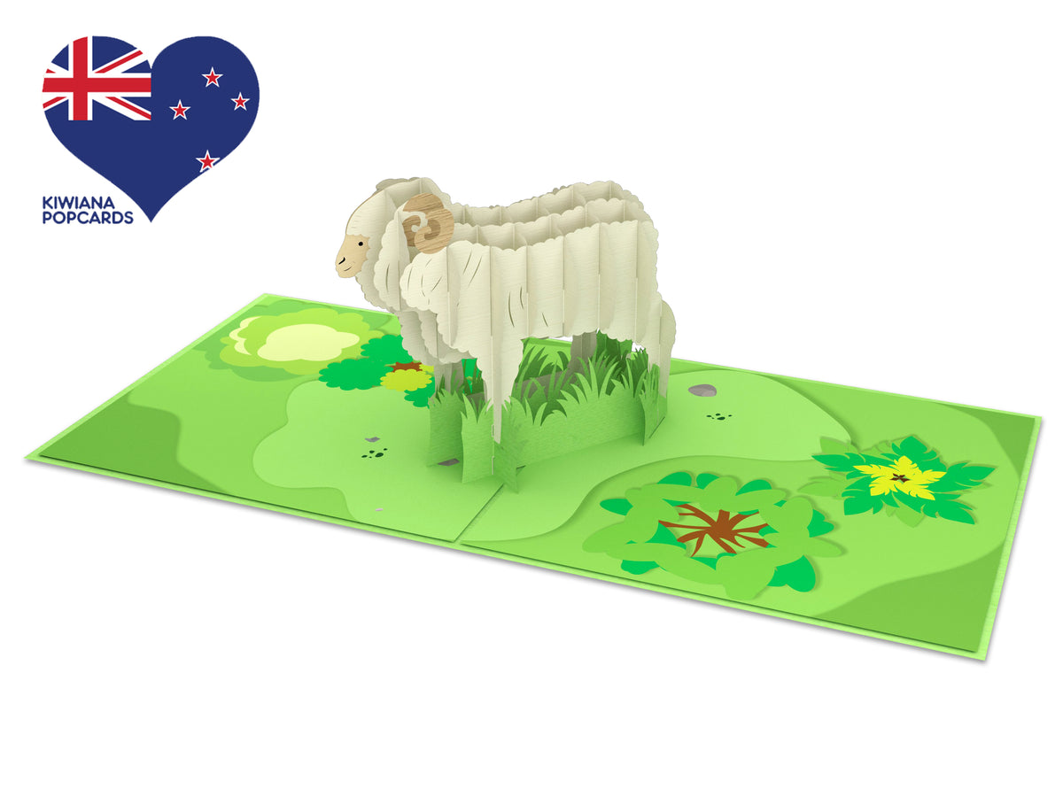 New Zealand Merino Sheep Pop-Up Card