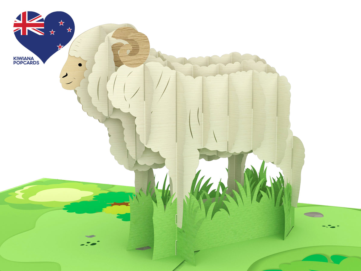 New Zealand Merino Sheep Pop-Up Card