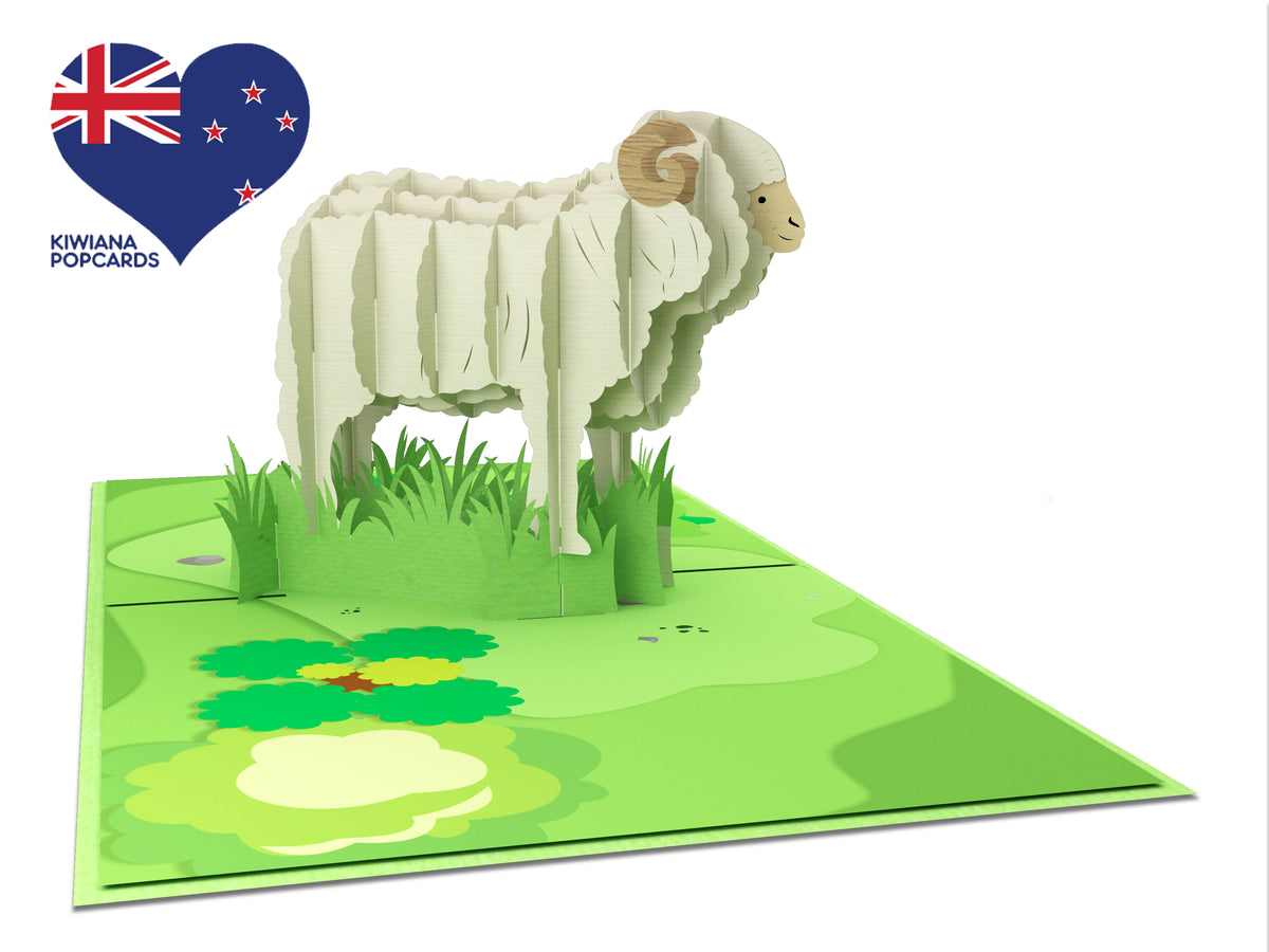 New Zealand Merino Sheep Pop-Up Card