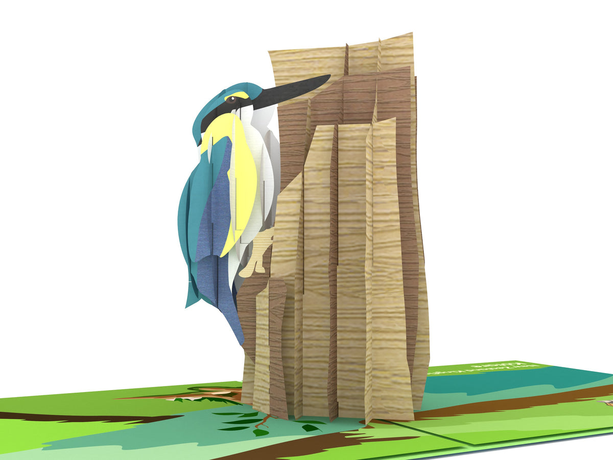 New Zealand Sacred kingfisher Pop-Up Card